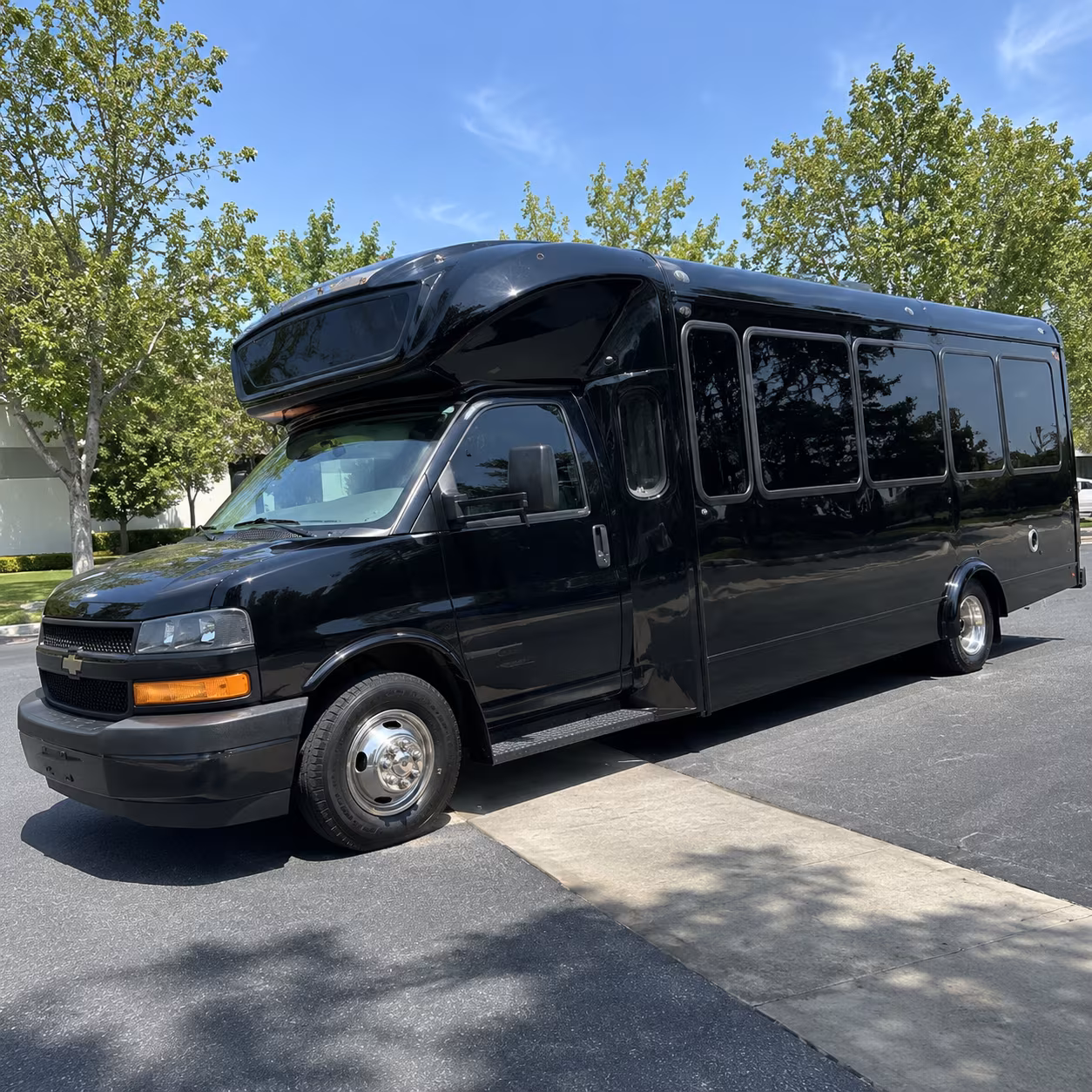 springfield 15 passenger party bus