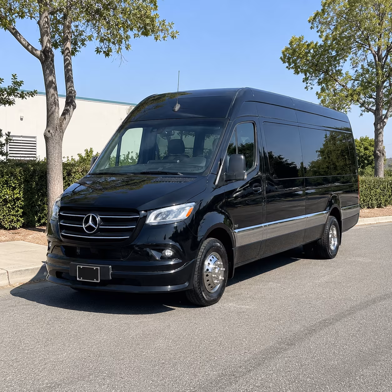 springfield wedding transportation onboard seating